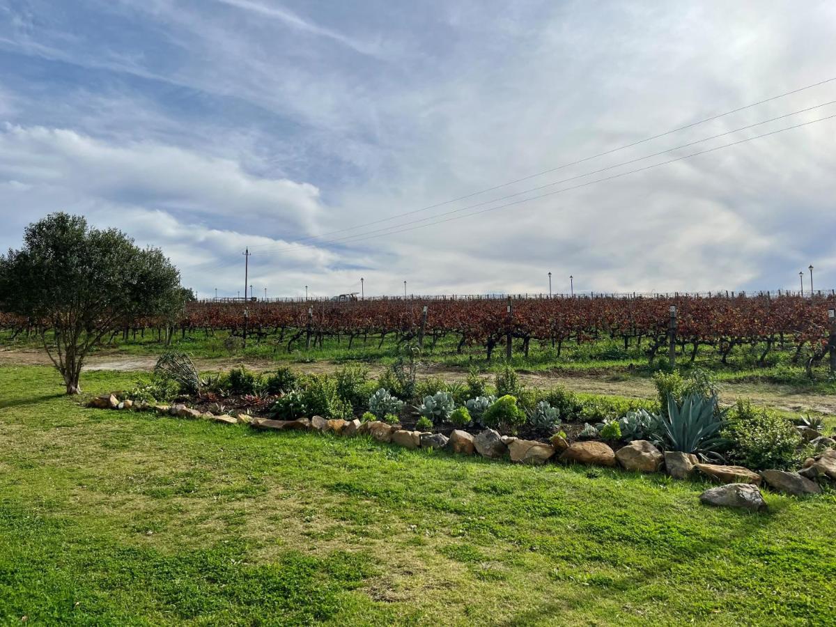 Cottage At Kanu Wines Cape Town Exterior photo